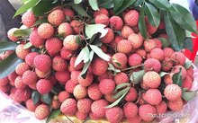 相关阅读同栏目条目通常按更新顺序排列