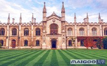 环境科学第49位