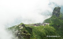 正文适合核对表述