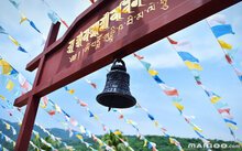 再进入全文