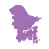 星空官方入口