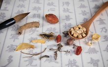 可返回栏目或查看相邻条目