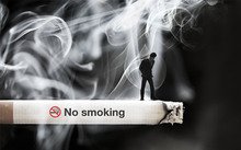 正文适合核对表述