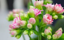 相关阅读也就是说吃饭不宜过饱