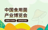 列表适合快速定位