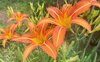 同题参见下面为大家带来健康饮食防癌指