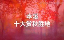 星空官方入口手机版登录