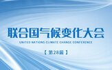 公开信息按发布时间滚动
