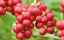 再进入全文