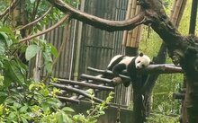 星空（中国）官方网站入口说明」后