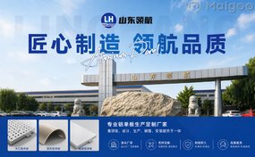 建议先扫读标题与摘要