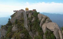 公开信息按发布时间滚动